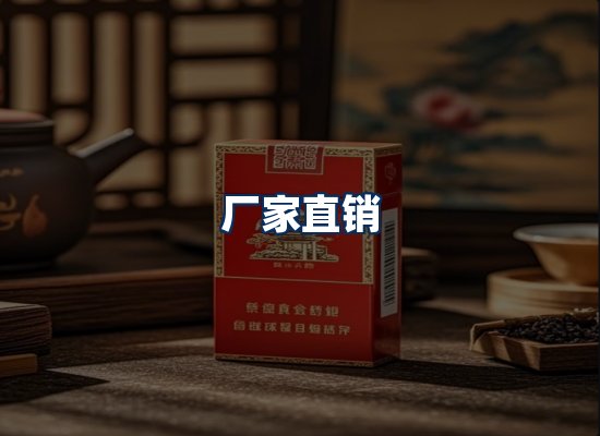 专业团队办公环境